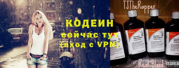 молекула духа Алзамай