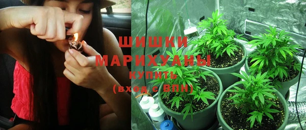 молекула духа Алзамай