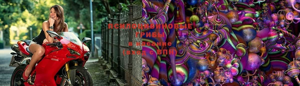 молекула духа Алзамай