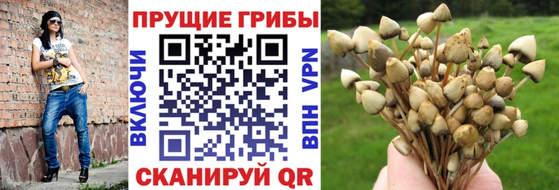 где найти наркотики  Краснокамск  Галлюциногенные грибы мицелий 
